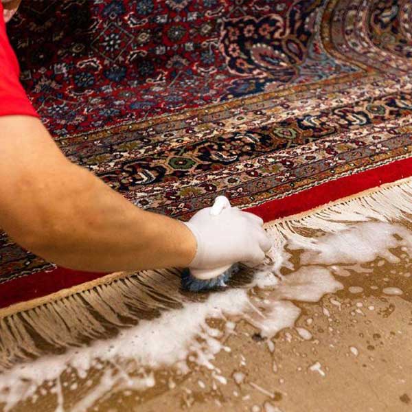 Nettoyage de Tapis - Maison TAPIS BELPARSIA  en Belgique. Nettoyage artisanal de Tapis  : Dépoussiérage, déssablage, fixation des couleurs des tapis anciens, nettoyage artisanal de tapis à la main, lavage traditionnel à grande eau, soin des tapis en Soie, Nettoyage tâche d’encre, désinfection naturelle, fixateur de couleur …, séchage contrôlé, Inspection finale .  Rénovation de tapis après les dégâts des animaux, mites ...   Intervention en Belgique